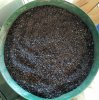 2017-04-10_erwinsbiochar.jpg