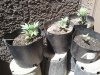 20170412_121320.jpg