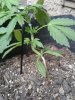 20170416_182841.jpg