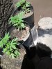 20170420_121438.jpg