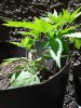 20170420_121350.jpg