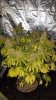20170502_093434.jpg