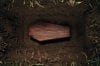 coffin_0.jpg