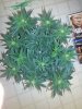 20170318_032134.jpg