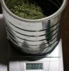 Panama-P6-Day70-WeighIn-Popcorn-1.JPG