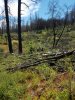 20170612_115646.jpg