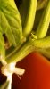 20170708_140218.jpg