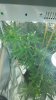 20170727_154148.jpg