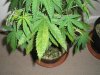 PB120090.jpg