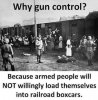 gun-control-nazi-train-cars.jpg