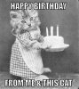 0e9bf60253366e118dddf49626b9266b--birthday-cards-images-cat-birthday-cards.jpg