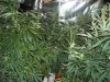 New Barn Grow 040.jpg