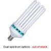 300w cfl.jpg