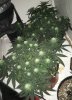 22A9D475-0A02-4CA1-A8AF-4214949E1813.jpeg