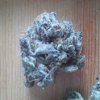 purp stardwg nug.jpg