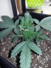 20180321_113259.jpg