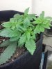 20180329_084732.jpg