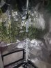 20180406_213450.jpg