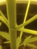 20180524_012734.jpg