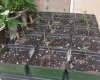 20180607_073234.jpg