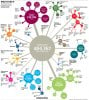 Mortality-rates-big-graph-001.jpg