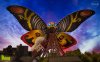 mothra-appears-sm.jpg