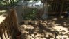 DSCF3721.JPG