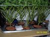 100_4016.jpg