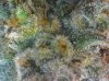 20180911_134728.jpg