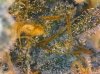 20180911_134834.jpg