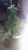 20180917_143454.jpg