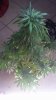 20180917_143437.jpg