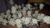 IMG-20180911-WA0009.jpg