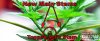 Topped-Marijuana-Plant.jpg