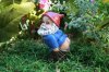 mooning-garden-gnome-2.jpg