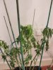 IMG_20181108_203840.jpg