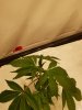 20190211_075756.jpg