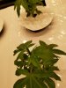 20190211_075658.jpg