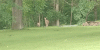 20190613_135033.gif