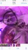 D02422FE-68EE-4C81-9BC7-3817A1700B69.jpeg