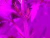 20190904_185501.jpg