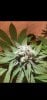 Screenshot_20191004-071914_Gmail.jpg