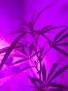 6C0ECEAE-9E04-4D7A-BC60-59ABD7BBBC7E.jpeg