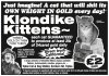 Klondike-Kittens.jpg