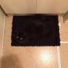 My-bath-mat-has-eyes-768x774.jpg