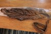 fronto2.jpg