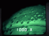 1585500722960.gif