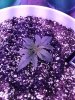 1949023_crop-king-seeds-white-widow-grow-journal-by-clstr8cropkingseedswhite-widow.jpg