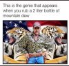 Best-Joe-Exotic-Tiger-King-memes-and-photoshops-youll-see-from-the-Netflix-series.jpg