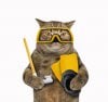 istockphoto-686596710-612x612 snorkel cat.jpg